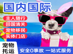 连云港花果山航空托运国际宠物托运 【国